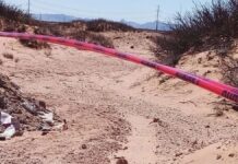 Suman 17 cuerpos en fosa clandestina de Chihuahua Cuerpos