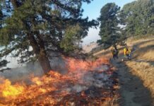 Puebla suma 400 incendios forestales en lo que va del año