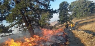 Sofocan incendios forestales en Coyomeapan y Cerro Zapotecas