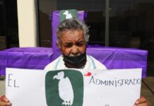 Guadalupe Carpinteyro suma dos años sin recibir su pensión en el IMSS