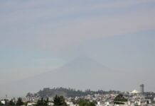 Puebla reporta 21 casos de rinitis alérgica