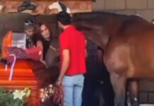 Familiares dan último adiós a Elena Larrea