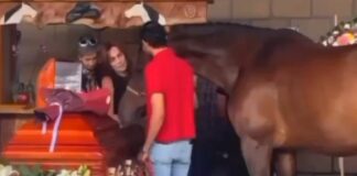 Familiares dan último adiós a Elena Larrea