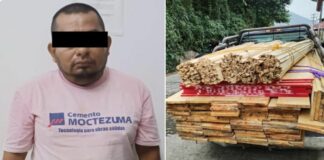 Lo detienen con 500 trozos de pino de tala ilegal en Huehuetla