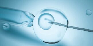 Australia: Mujer extraerá esperma de su esposo fallecido para tener un hijo