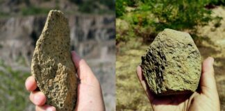 Hallan en Korolevo los rastros humanos más antiguos de Europa