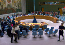 Rusia y China vetan resolución de ONU sobre alto al fuego en Gaza ONU