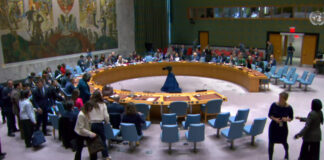 Rusia y China vetan resolución de ONU sobre alto al fuego en Gaza ONU