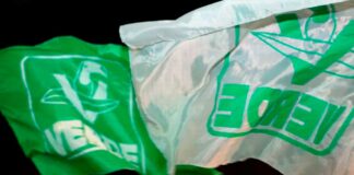 Alcaldes y diputados del PVEM buscarán la reelección en 2027 PVEM