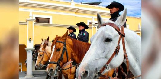 Seguridad
