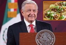 El taco, uno de los alimentos más completo del mundo: AMLO