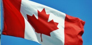 Canadá busca frenar ingreso incorrecto de mexicanos con visa Visa