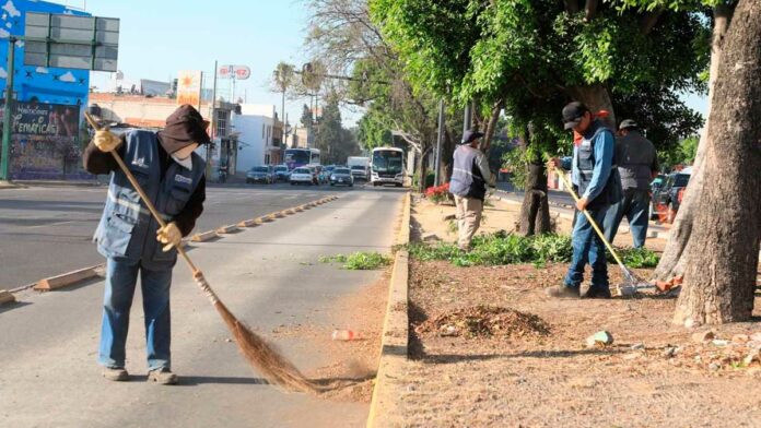 circulación