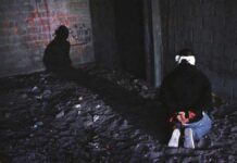 Gobierno de Sinaloa investiga plagio masivo familias