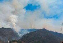 Combaten incendio forestal en Tetela incendio