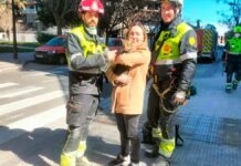 Captan emotivo reencuentro de mujer y su ‘michi’ tras incendio en Valencia Incendio