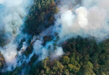 Liquidados nueve de 12 incendios registrados en Puebla incendios