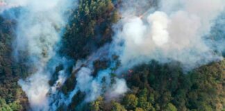 Puebla suma 416 incendios forestales en lo que va del 2024 incendios