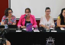 Puebla, Tehuacán y Atlixco concentran delitos de violencia contra las mujeres mujeres