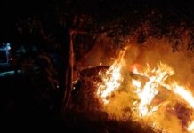 Atlixco llama a evitar quema de pastizales, pasto, ramas y árboles quema
