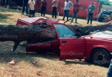 Árbol aplasta auto en tianguis de Ahuazotepec; mujer y su bebé sufren lesiones Árbol