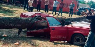 Árbol aplasta auto en tianguis de Ahuazotepec; mujer y su bebé sufren lesiones Árbol