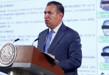 Camila falleció por asfixia mecánica intencional: SSPC