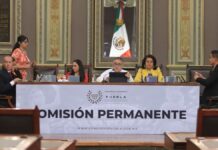 Impulsan en Congreso iniciativas y puntos de acuerdo en materia de bienestar animal Congreso