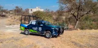 Localizan cráneo humano cerca de laguna de Valsequillo Cráneo