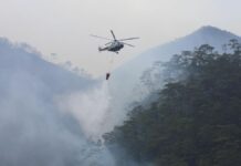 Conafor reporta 73 incendios forestales activos en México