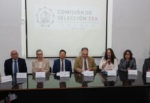 Lanzan convocatoria para el Comité de Participación Ciudadana