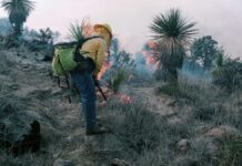 Dos brigadistas muertos deja incendio forestal en Puebla