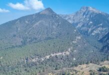 Controlan incendio forestal en Libres, Ocotepec e Ixtacamaxtitlán