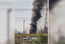 Desplome de helicóptero en CDMX se debió a falla de motor