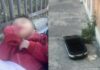 SEDIF recibiría a niño abandonado en una maleta en La Loma