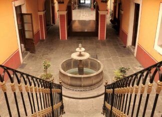 En Tardes de patrimonio histórico universitario, Espacio Catorce abre sus puertas al público Espacio