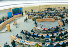 Consejo de Derechos Humanos de la ONU aprueba resolución sobre personas intersexuales Intersexuales