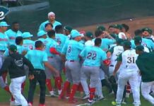 LMB sanciona a Pericos de Puebla y Diablos Rojos del México por pelea campal