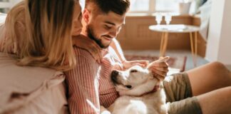 Aprueban ley que impide a propietarios negar renta a inquilinos con mascotas en Edomex