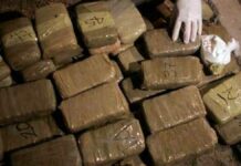 Perú usará droga decomisada para crear bloques de concreto