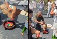 Sacrifican animales como ofrenda para ritual en el Senado