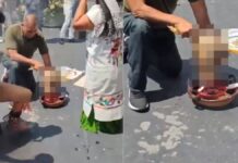 Senado se deslinda de sacrificio de animales en sus instalaciones