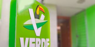 Priistas agredieron a balazos a brigadistas PVEM en Cuetzalan, acusa Natale brigadistas