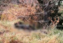 Encuentran cadáver calcinado en San Miguel Xoxtla Cadáver