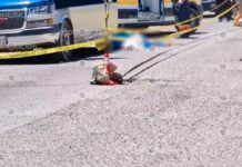 Asesinan a balazos a conductor de camioneta en la Azumbilla-Vicente Guerrero conductor