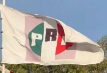 CNJ del PRI incurrió en irregularidades al expulsar a cinco diputados de Puebla: TEPJF diputados