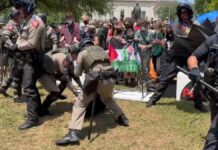 Se expanden protestas estudiantiles en EU propalestina