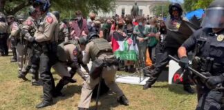 Profesores de Harvard piden diálogo con estudiantes acampados