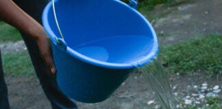 Salud atiende a dos personas hospitalizadas por dengue hospitalizadas