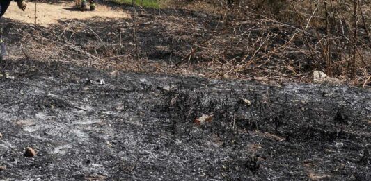 Incendios